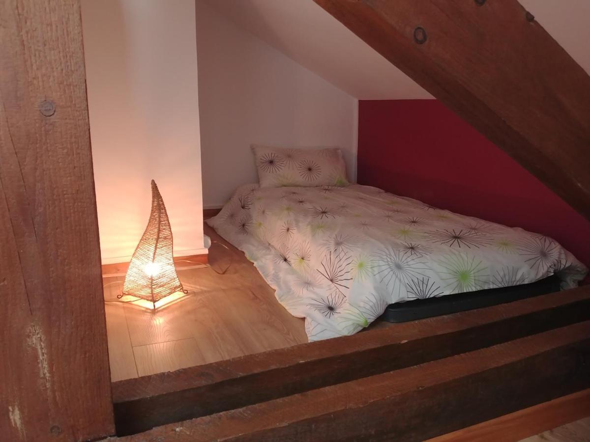 2 Chambres Privees Au Calme - Quartier Universite 디종 외부 사진